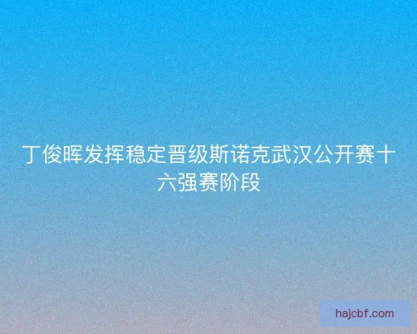 丁俊晖发挥稳定晋级斯诺克武汉公开赛十六强赛阶段