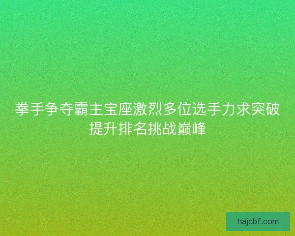 拳手争夺霸主宝座激烈多位选手力求突破提升排名挑战巅峰